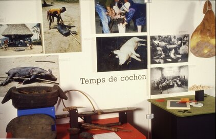 Temps de cochon