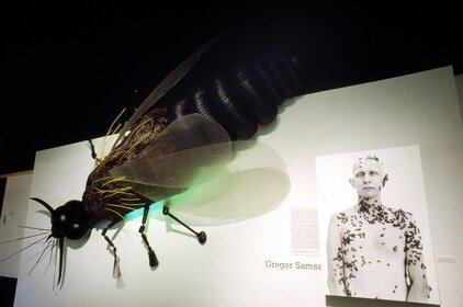 La métamorphose de Grégor Samsa
