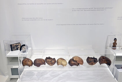 Section Famille : Crânes du Gabon