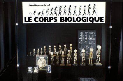 Le corps biologique